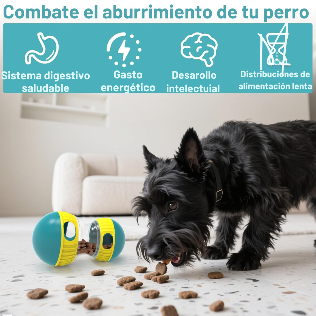 Pelota con snacks – educa y calma la ansiedad