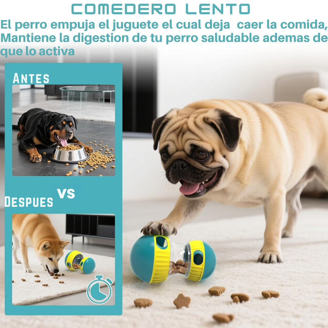 Pelota con snacks – educa y calma la ansiedad