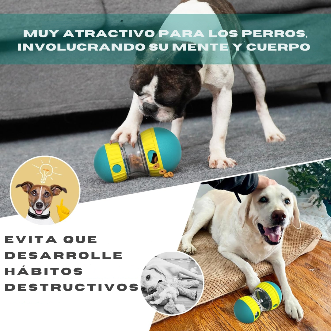 Pelota con snacks – educa y calma la ansiedad